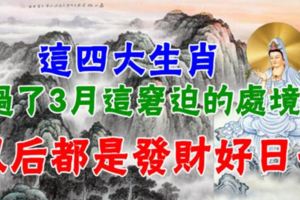 這四大生肖過了3月這窘迫的處境。以後都是發財好日子。