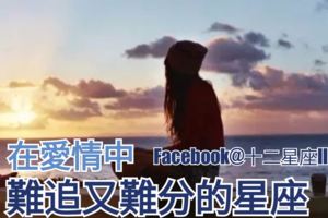【星座愛情】在愛情中,難追又難分的星座。