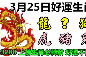 3月25日好運生肖，人財兩旺填旺福！【龍+？+狗+虎+豬+兔】『33288上榜生肖必轉發好運不停』
