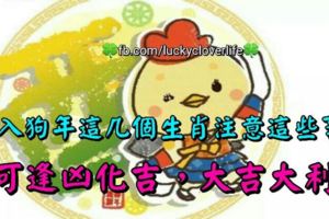 進入狗年這幾個生肖注意這些事，可逢凶化吉，大吉大利！