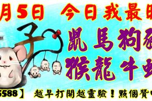 4月5日，今日我最旺！鼠馬狗豬猴龍牛蛇！【55588】越早打開越靈驗！點個贊吧！