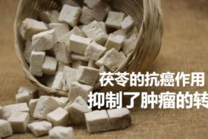 茯苓的抗癌作用真的那麼好嗎？它的作用機理是什麼？