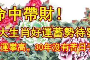 命中帶財！3大生肖好運蓄勢待發，財運攀高，30年沒有苦日子！
