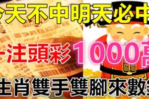 今天不中明天必中！一注頭彩獎1000萬6生肖雙手雙腳來數錢！