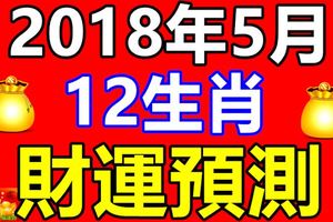 鄭博士12生肖2018年5月財運預測