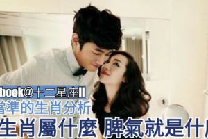 【相當準的生肖分析!】你生肖屬什麼，脾氣就是什麼。