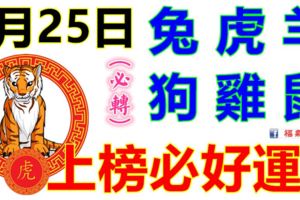 4月25日生肖運勢_兔、虎、羊大吉