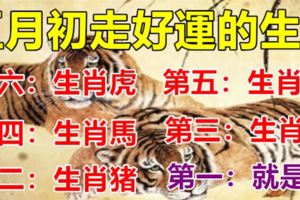 五月初即將「走好運」的6生肖，第一名是你嗎?