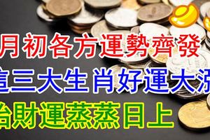 5月初各方運勢齊發，這三大生肖好運大漲，始財運蒸蒸日上
