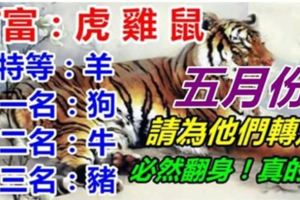 你家有生肖虎，雞，鼠嗎？五月份請為他們轉走，會有貴人相助，必然翻身！真的靈！