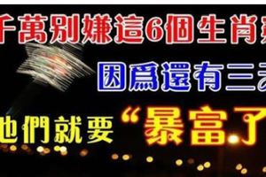 別嫌這6個生肖【窮】