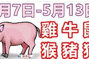 12生肖一周運勢（5.7—5.13）