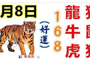 5月8日生肖運勢_龍、猴、牛大吉