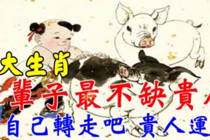 一輩子最不缺貴人的五大生肖，看看有你嗎~