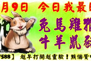 5月9日，今日我最旺！兔馬雞猴牛羊鼠豬！【17588】越早打開越靈驗！點個贊吧！