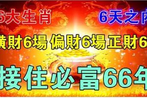 6大生肖，6天之內偏財6場橫財6場正財6場，接住必富66年！
