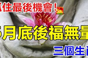 抓住最後機會！6月底後福無量的的三個生肖！