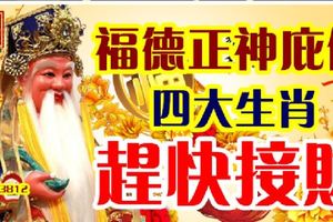 福德正神庇佑，四大生肖，趕快接財