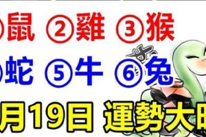 6月19日生肖運勢_鼠、雞、猴大吉