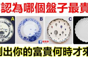 心理測試：憑直覺你認為哪個盤子最貴？測出你的富貴何時來！