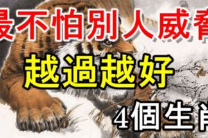最不怕別人威脅的四個生肖，越過越好，老天爺也壓不住！