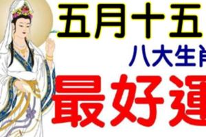 6月28日，農曆五月十五開始，這八個生肖最好運