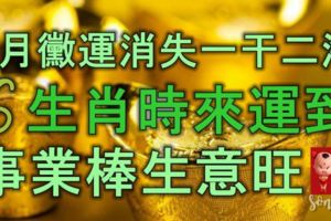 7月黴運消失的一干二淨，這6大生肖時來運到，事業棒，生意旺，富貴真難擋