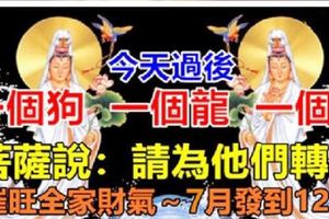 今天過後屬兔狗龍。催旺全家財氣～7月發到12月
