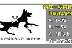 請在一秒內作答！你看到幾隻狗？測你內心的人格特性。