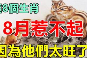 這8個生肖，千萬不要惹，因為他們8月實在太旺了！