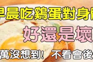 早晨吃雞蛋對身體到底好不好？終於從專家那裡搞清楚了。 一定要告訴家人和朋友！