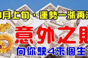 8月上旬，運勢一漲再漲，意外收入向你駛來4個生肖