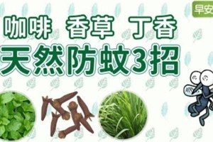 天然防蚊3招：咖啡、香草、丁香