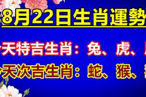 8月22日生肖運勢-今天特吉生肖：兔、虎、馬次吉生肖：蛇、猴、狗