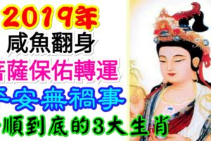 2019年咸魚翻身，菩薩保佑轉運平安無禍事，一順到底的3大生肖