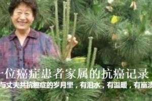 抗癌記：給自己一個重生的理由「癌症患者家屬」，、精神的多重壓力