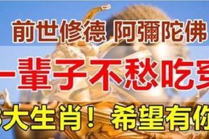 前世修德，阿彌陀佛一輩子不愁吃穿的7大生肖。