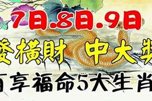 7日.8日.9日，發橫財中大獎，大富大貴享福命5大生肖。