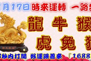 11月17日時來運轉一路發，龍牛猴虎兔狗，88秒內打開，好運跟著來『16888』