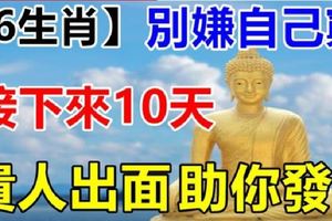 誰屬這6生肖，別嫌自己窮，接下來10天貴人出面助你發財。