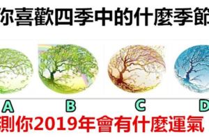 你喜歡四季中的什麼季節，測試你2019年會有什麼運氣！