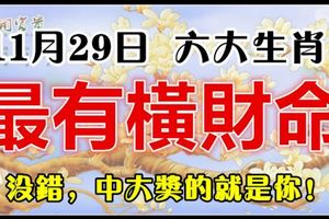 2018年11月29日，最有橫財命的六大生肖，100%靈驗