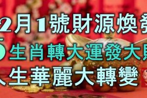 12月1號起財源煥發，5生肖轉大運，發大財，人生華麗大轉變！