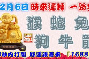 12月6日時來運轉一路發，猴蛇兔狗牛龍，88秒內打開，好運跟著來『16888』