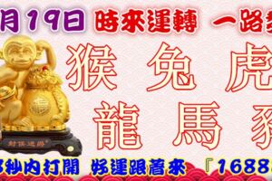 1月19日時來運轉一路發，猴兔虎龍馬豬，88秒內打開，好運跟著來『16888』