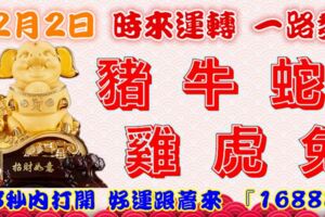 2月2日時來運轉一路發，豬牛蛇雞虎兔，88秒內打開，好運跟著來『16888』