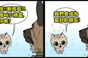 插畫家創作出「退役軍犬和可愛貓咪」的超有愛漫畫