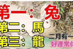 你家有屬兔馬龍嗎？