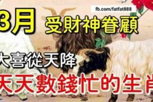 3月橫財發發發的生肖，受財神眷顧大喜從天降，天天數錢忙