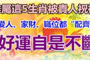 誰屬這5生肖被貴人祝福，豬年內愛人、家財、職位都【配齊】